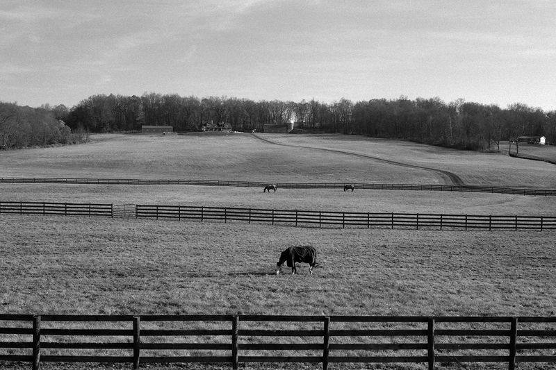 local ranch