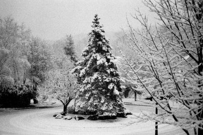 Fuji Neopan 1600