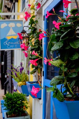 shopping on the Washington Street Mall