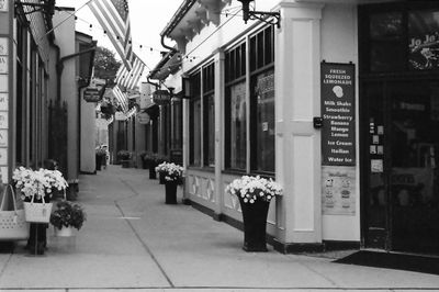 Freedom Way on the Washington Street Maul