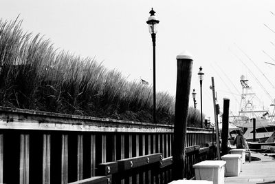 on the docks