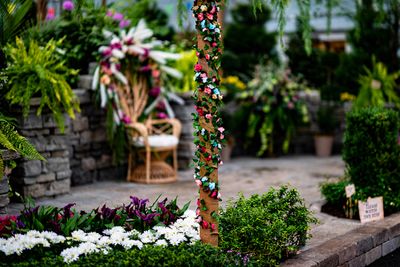 at a local garden show