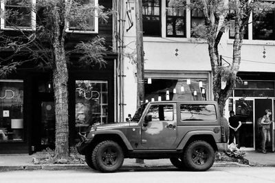 Wrangler