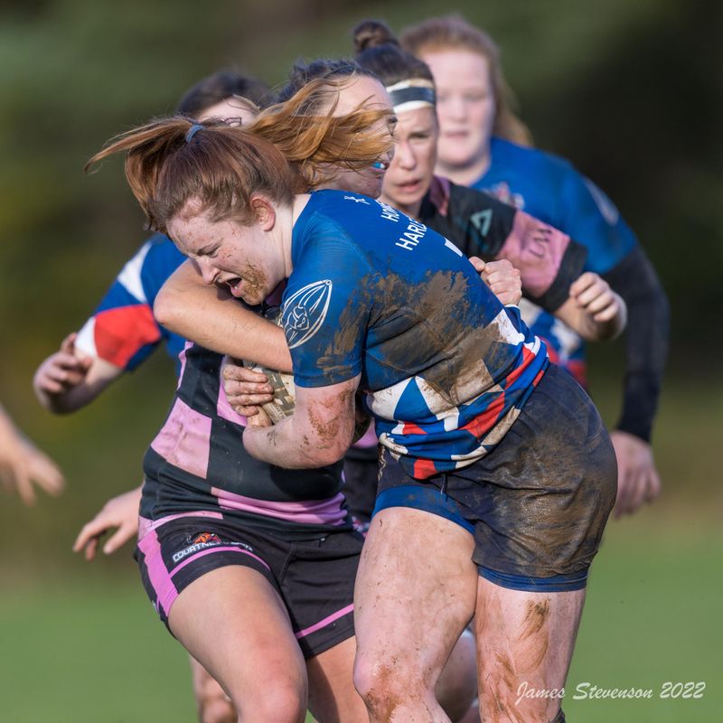 js_2022_howe_ayr_034.jpg