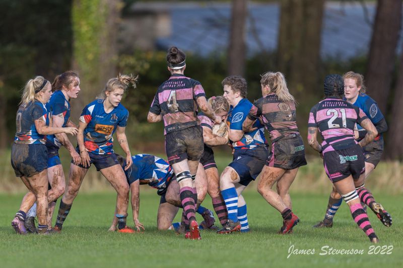 js_2022_howe_ayr_040.jpg