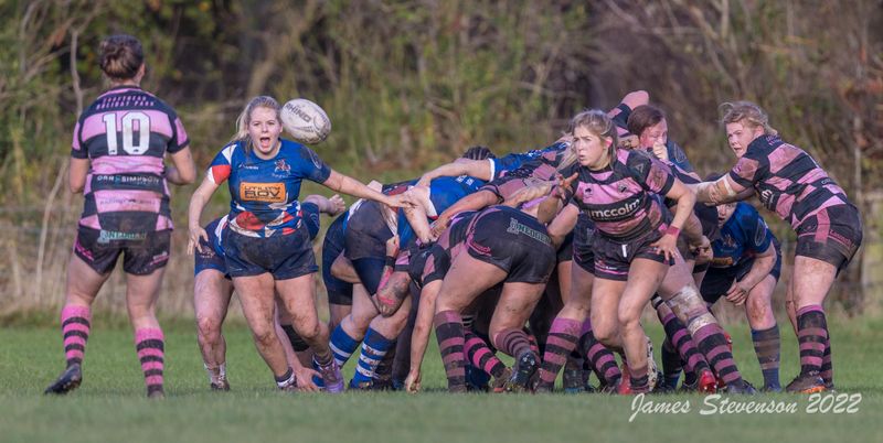 js_2022_howe_ayr_052.jpg