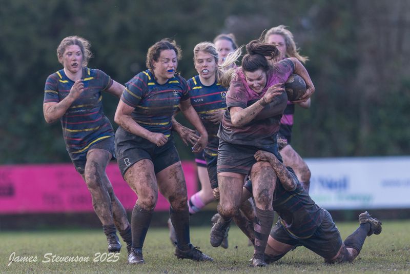 js_2025_ayr_ladies_broughton_045.jpg