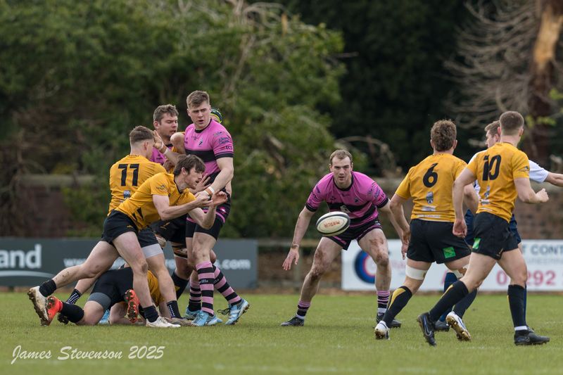 js_2025_ayr_currie_007.jpg