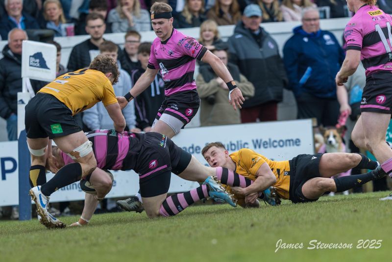 js_2025_ayr_currie_011.jpg