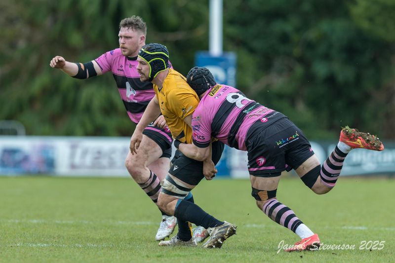js_2025_ayr_currie_025.jpg