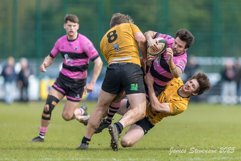 js_2025_ayr_currie_058.jpg