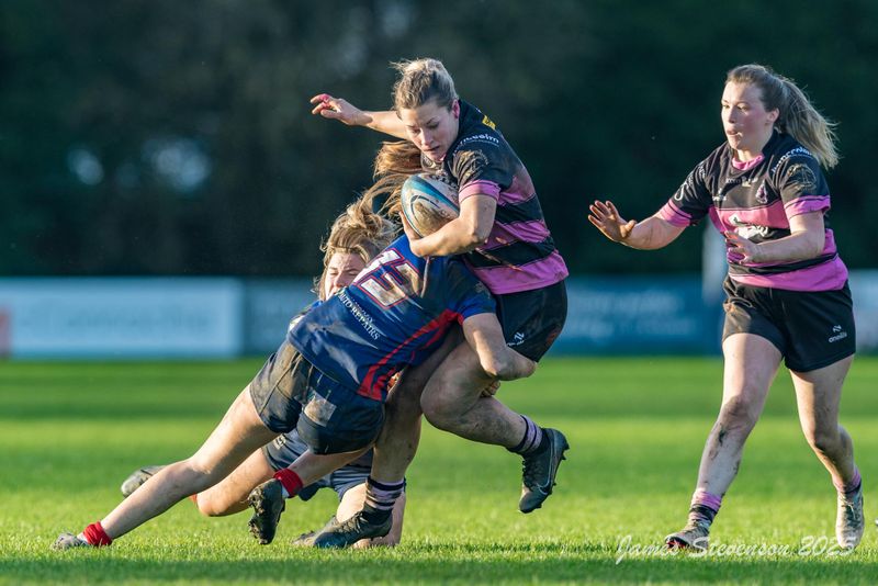 JS_2025_ayr_ladies_wigtownshire_013.jpg