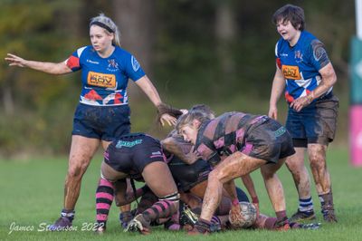 js_2022_howe_ayr_029.jpg