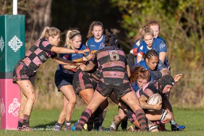 js_2022_howe_ayr_048.jpg