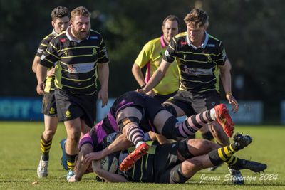 js_2023_ayr_melrose_012.jpg