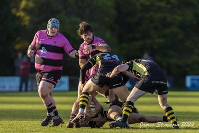 js_2023_ayr_melrose_047.jpg
