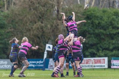js_2025_ayr_ladies_broughton_003.jpg