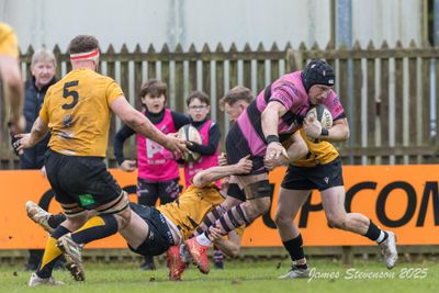 js_2025_ayr_currie_043.jpg