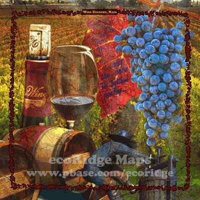 Wine Country Napa