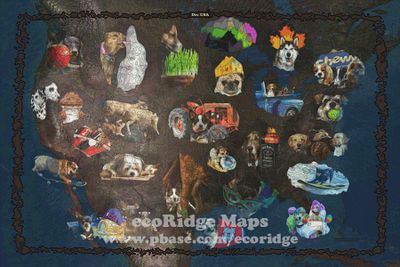Multiple Regions Maps