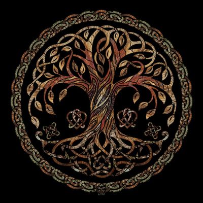 Boreal Woods