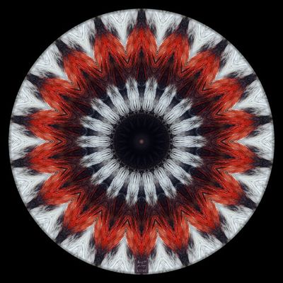 Sapsucker Headdress