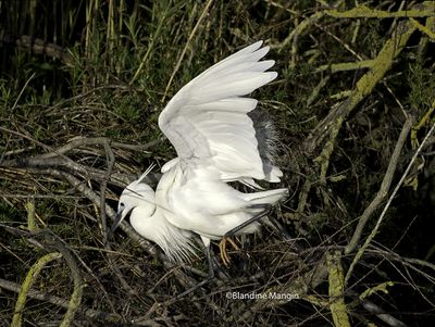 Featured Gallery
