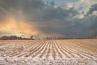 Farm Country