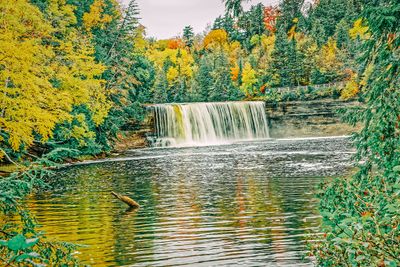 _DSC4563_openWith.jpg