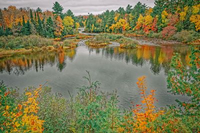 _DSC4568_openWith-3.jpg