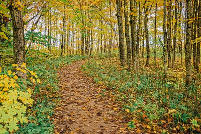_DSC4654_openWith.jpg