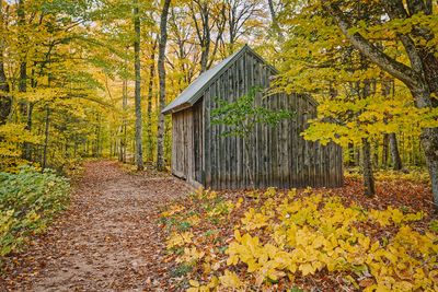 _DSC4667_openWith.jpg