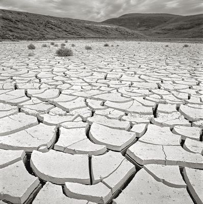 Cracked Mud