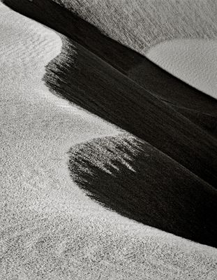 Dune 1