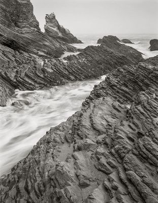 Spooners Cove 1