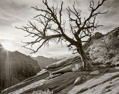 Butch Welch Portfolio