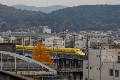 _J4A4182_pb.jpg