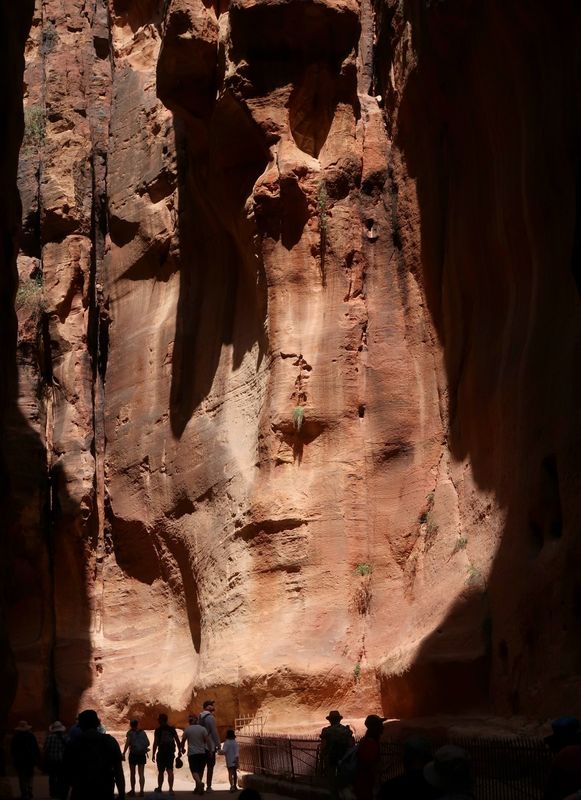 Petra and Wadi Rum 