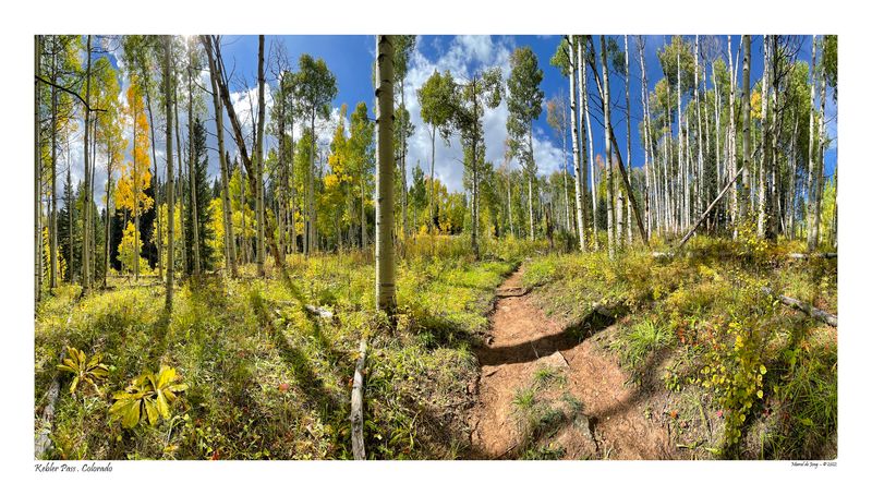 Cliff Creek Trail - Kebler Pass, Colorado