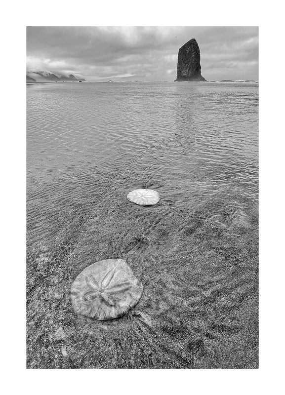 IMG_8481bw.jpg