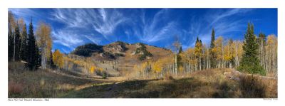 IMG_2349pano.jpg