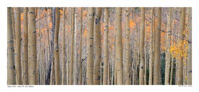 Images from Colorado and New Mexico