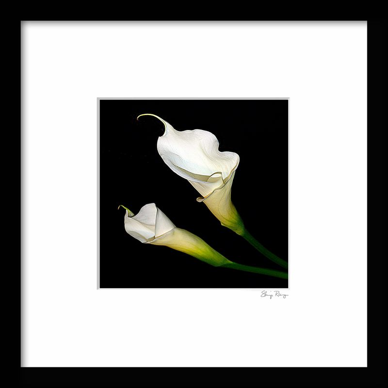 -RUNGE_FRAME {CALLAS_ 02}.jpg