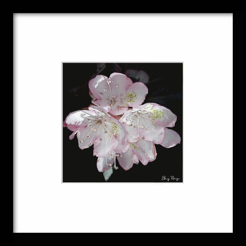 -RUNGE_FRAME {Laurel}.jpg