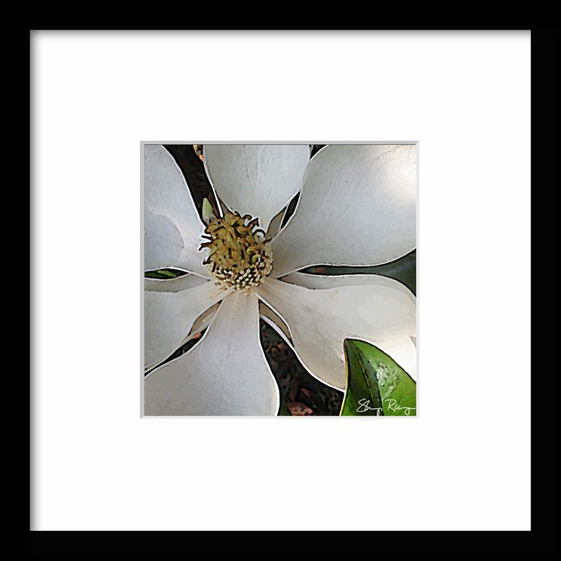 -RUNGE_FRAME {Magnolia}.jpg