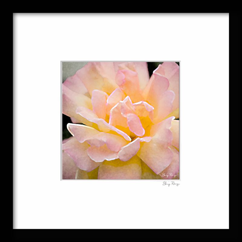 -RUNGE_FRAME {PINK} 01.jpg