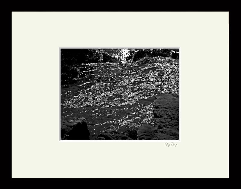RUNGE_{POINT_LOBOS-4250}.tif