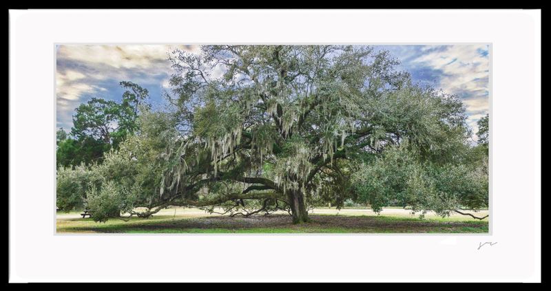 RUNGE_FRAME {HAMPTON_OAK}.jpg