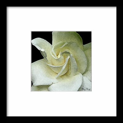 -RUNGE_FRAME {Gardenia}.jpg