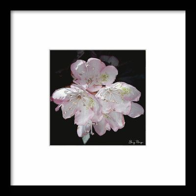 -RUNGE_FRAME {Laurel}.jpg